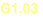 G1.03