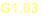 G1.03