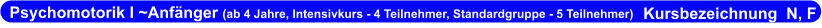 Psychomotorik I ~Anfänger (ab 4 Jahre, Intensivkurs - 4 Teilnehmer, Standardgruppe - 5 Teilnehmer)                      Kursbezeichnung  N, F