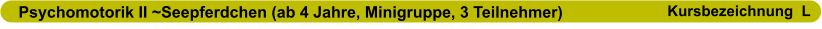 Psychomotorik II ~Seepferdchen (ab 4 Jahre, Minigruppe, 3 Teilnehmer)                      Kursbezeichnung  L