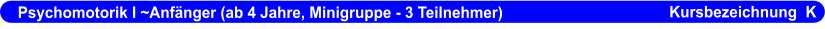 Psychomotorik I ~Anfänger (ab 4 Jahre, Minigruppe - 3 Teilnehmer)                      Kursbezeichnung  K