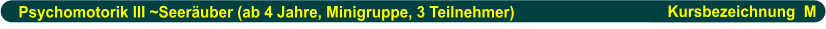 Psychomotorik III ~Seeräuber (ab 4 Jahre, Minigruppe, 3 Teilnehmer)                      Kursbezeichnung  M