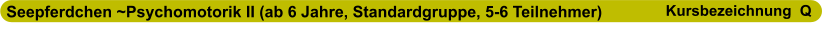 Seepferdchen ~Psychomotorik II (ab 6 Jahre, Standardgruppe, 5-6 Teilnehmer)                      Kursbezeichnung  Q